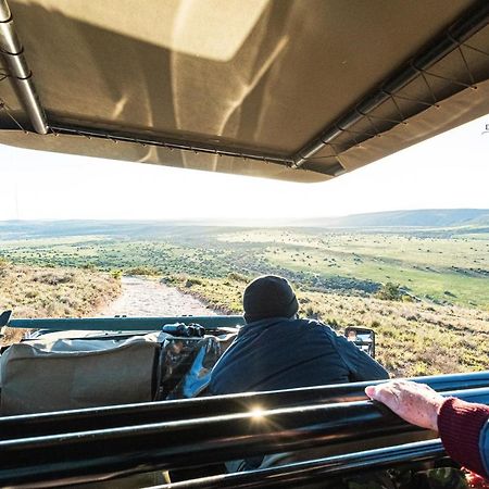 Leeuwenbosch Country House - Amakhala Game Reserve Bagian luar foto