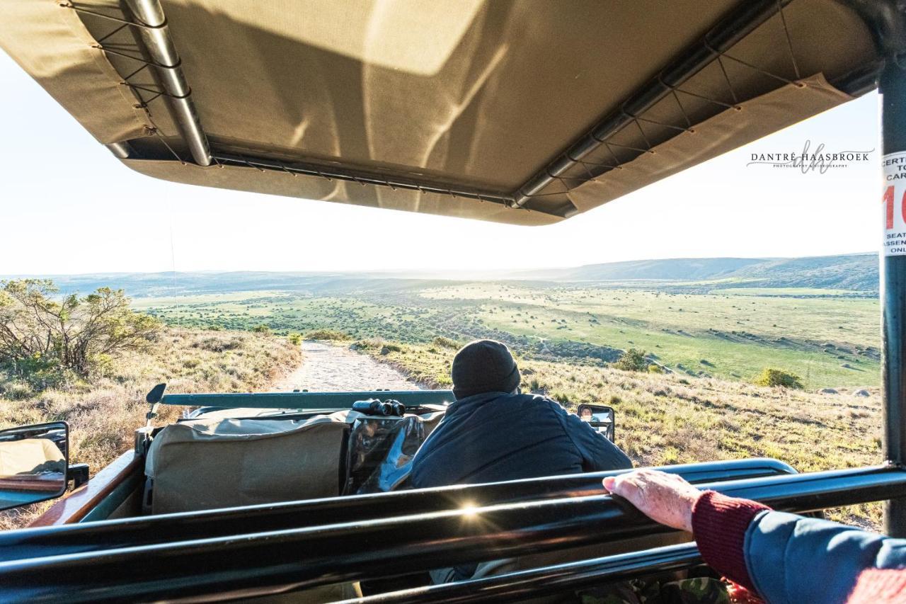 Leeuwenbosch Country House - Amakhala Game Reserve Bagian luar foto