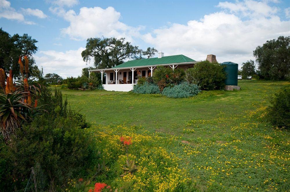 Leeuwenbosch Country House - Amakhala Game Reserve Bagian luar foto