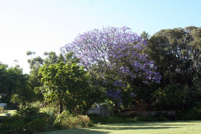 Leeuwenbosch Country House - Amakhala Game Reserve Bagian luar foto
