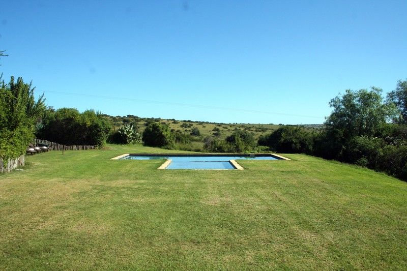 Leeuwenbosch Country House - Amakhala Game Reserve Bagian luar foto