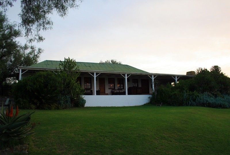 Leeuwenbosch Country House - Amakhala Game Reserve Bagian luar foto