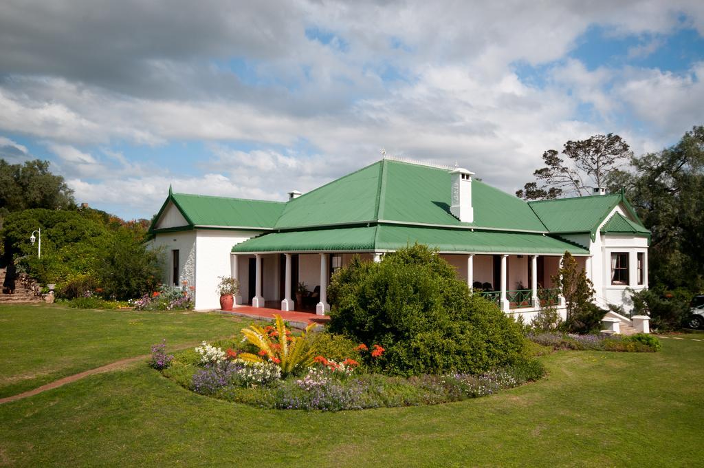 Leeuwenbosch Country House - Amakhala Game Reserve Bagian luar foto
