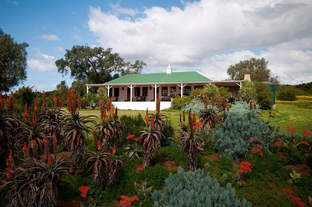 Leeuwenbosch Country House - Amakhala Game Reserve Bagian luar foto
