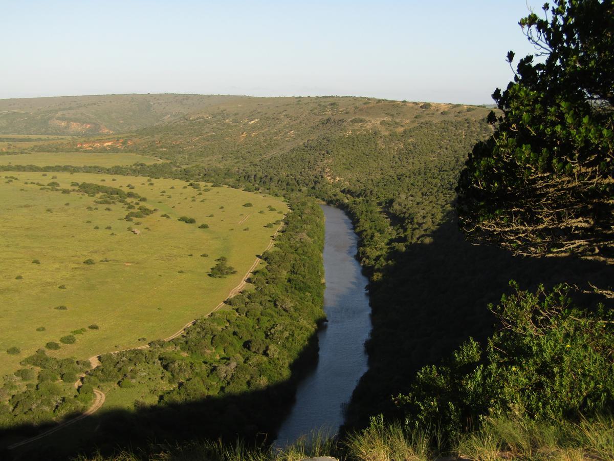 Leeuwenbosch Country House - Amakhala Game Reserve Bagian luar foto