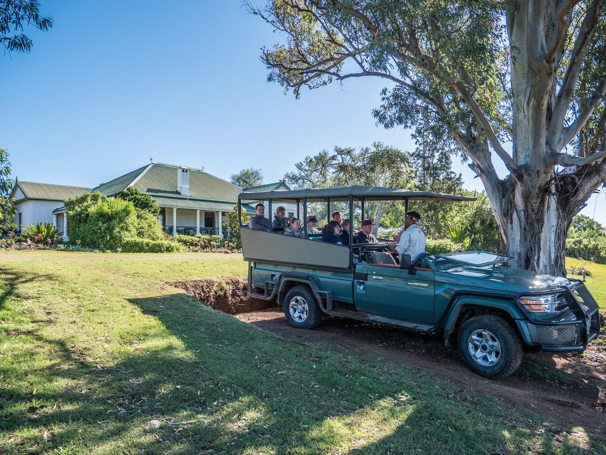 Leeuwenbosch Country House - Amakhala Game Reserve Bagian luar foto