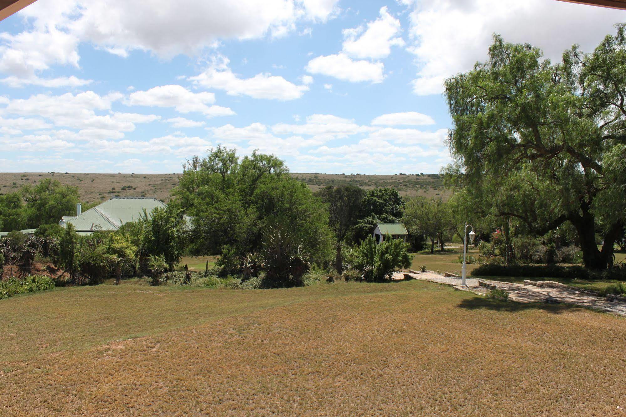 Leeuwenbosch Country House - Amakhala Game Reserve Bagian luar foto