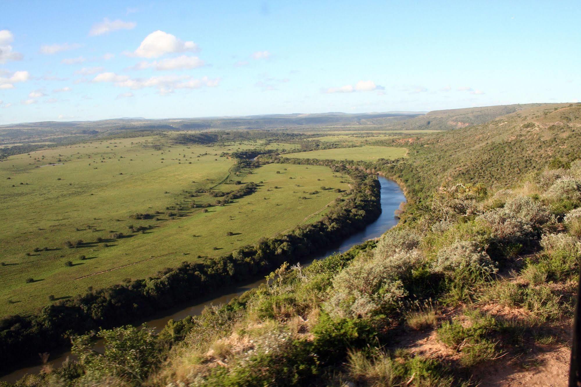 Leeuwenbosch Country House - Amakhala Game Reserve Bagian luar foto