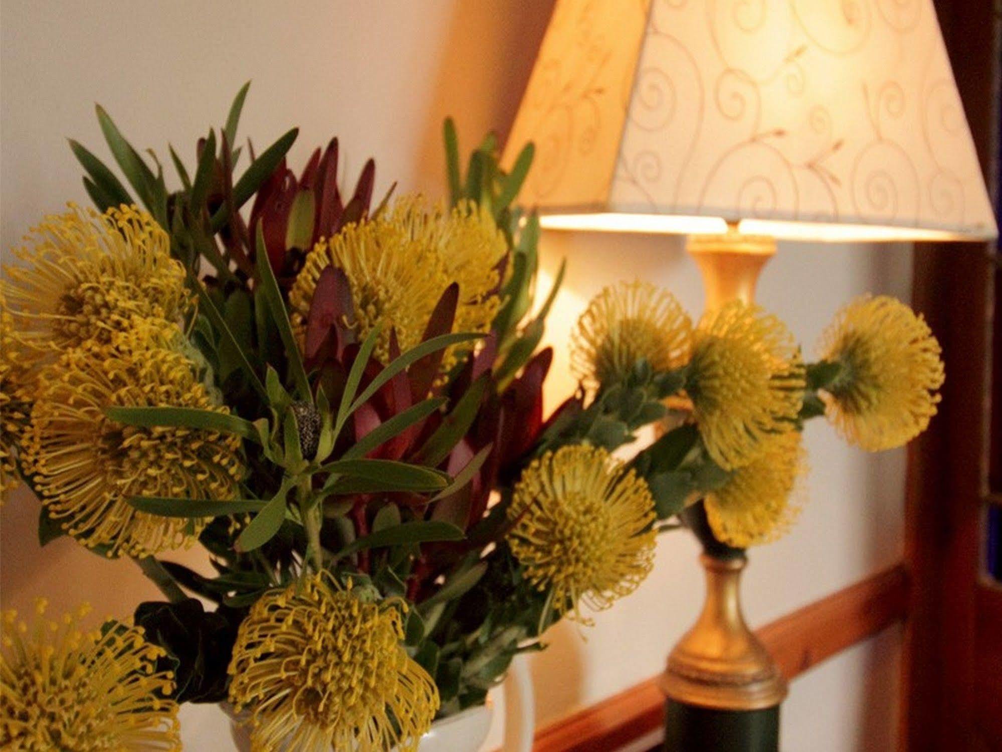 Leeuwenbosch Country House - Amakhala Game Reserve Bagian luar foto