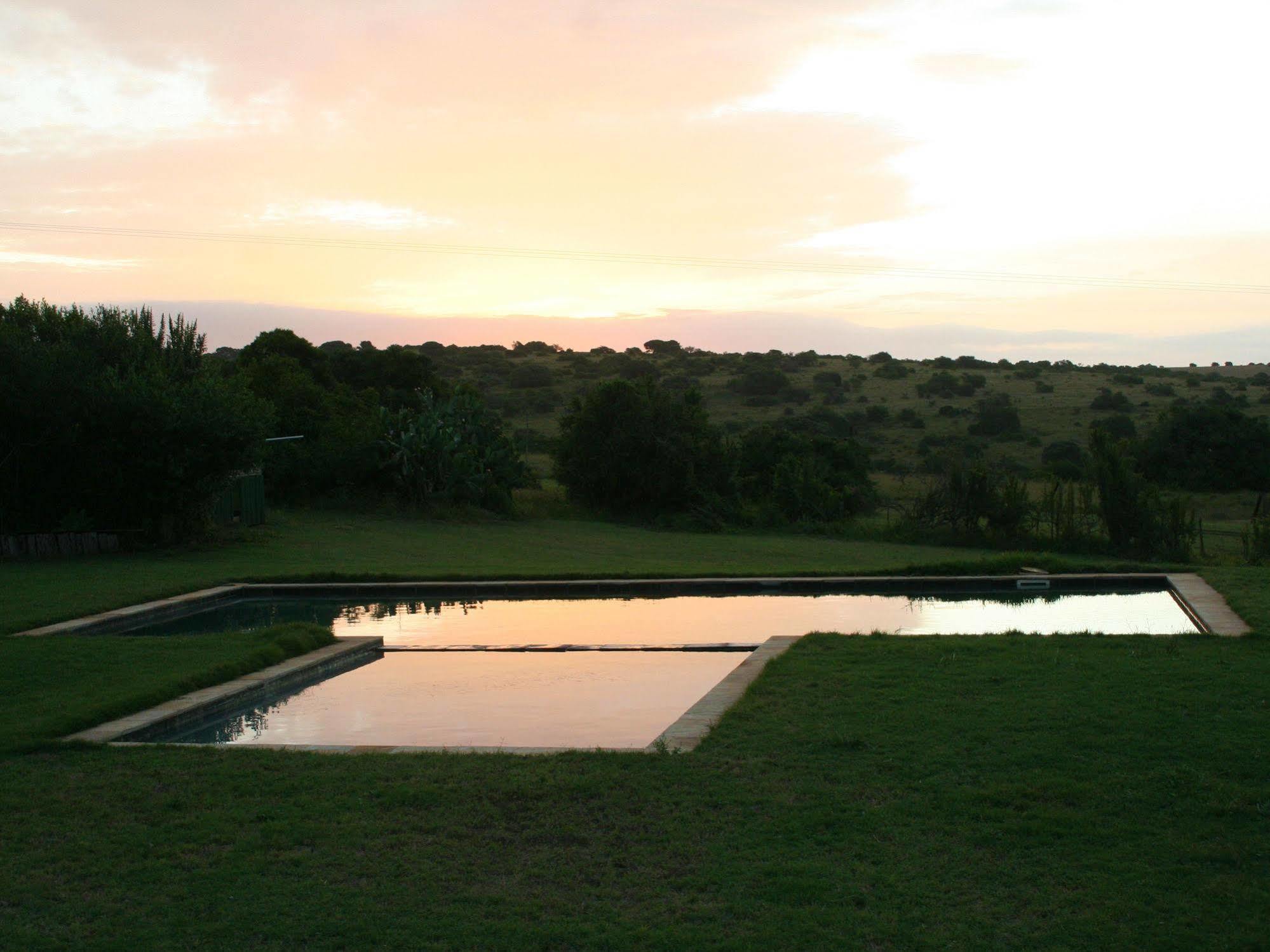 Leeuwenbosch Country House - Amakhala Game Reserve Bagian luar foto