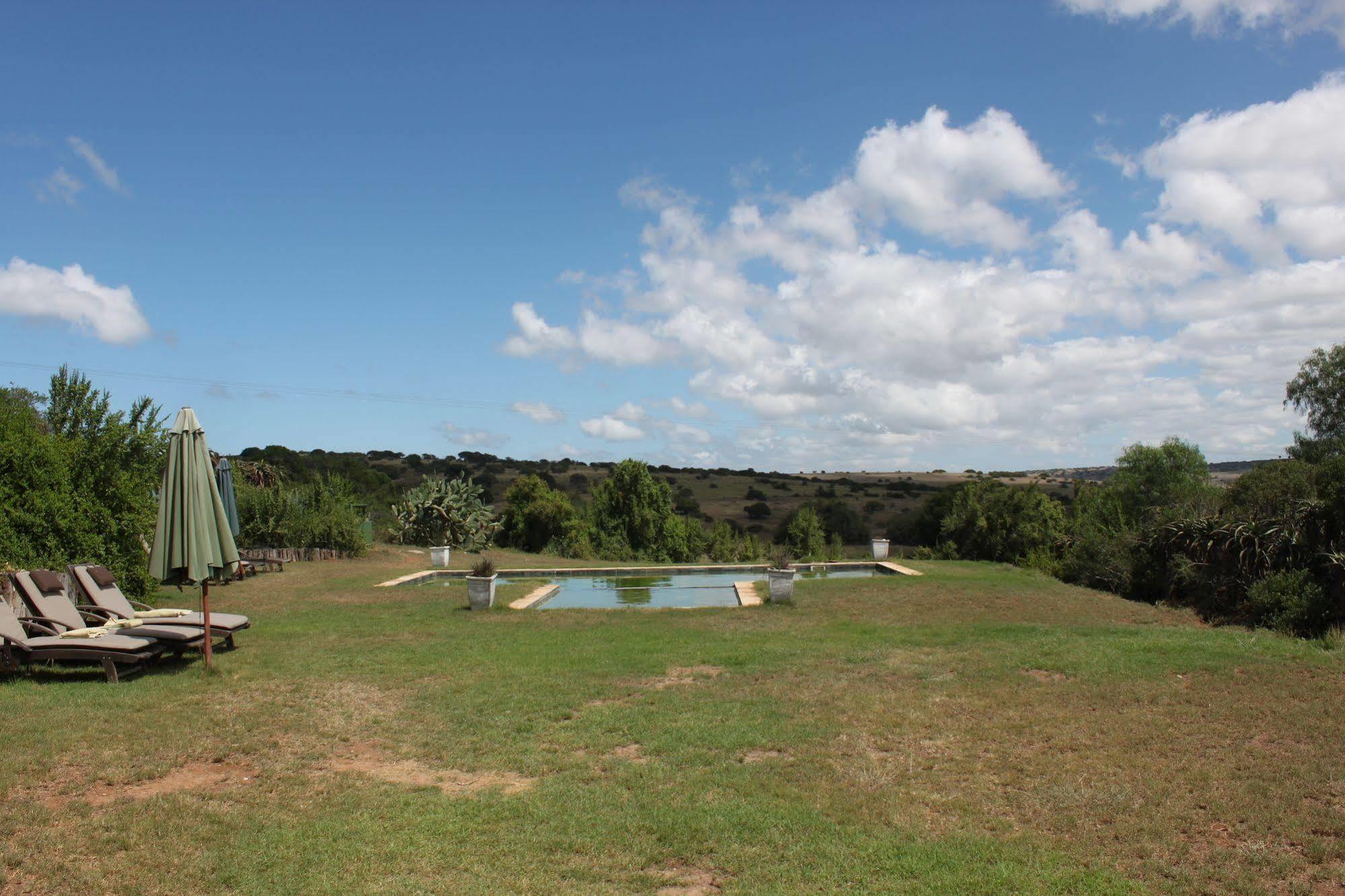 Leeuwenbosch Country House - Amakhala Game Reserve Bagian luar foto