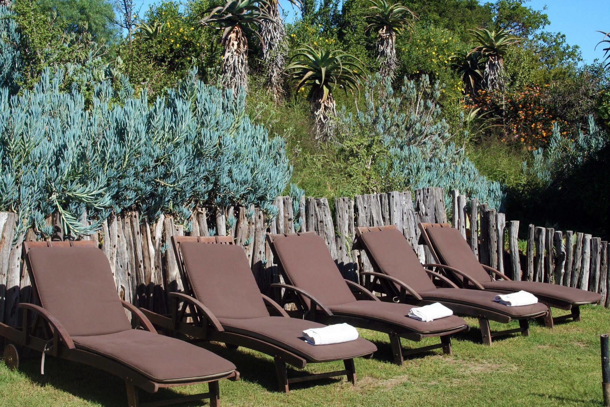 Leeuwenbosch Country House - Amakhala Game Reserve Bagian luar foto