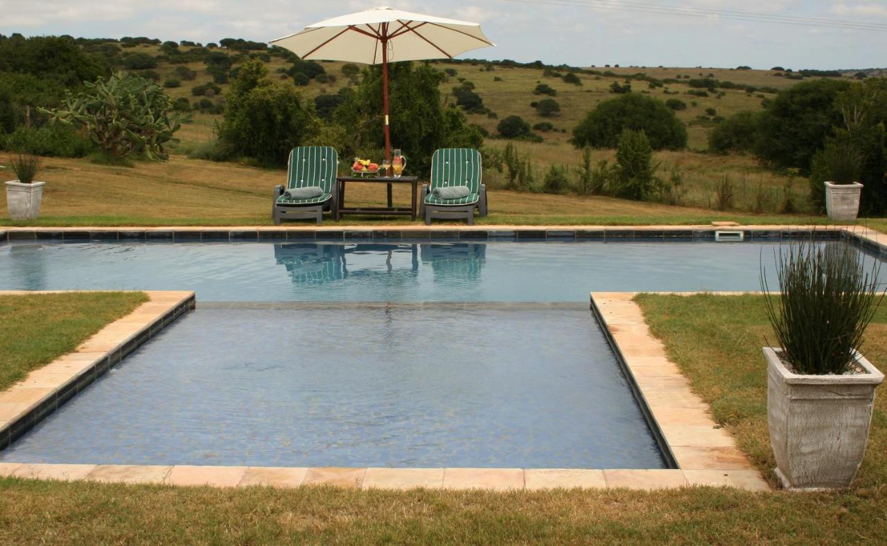 Leeuwenbosch Country House - Amakhala Game Reserve Bagian luar foto