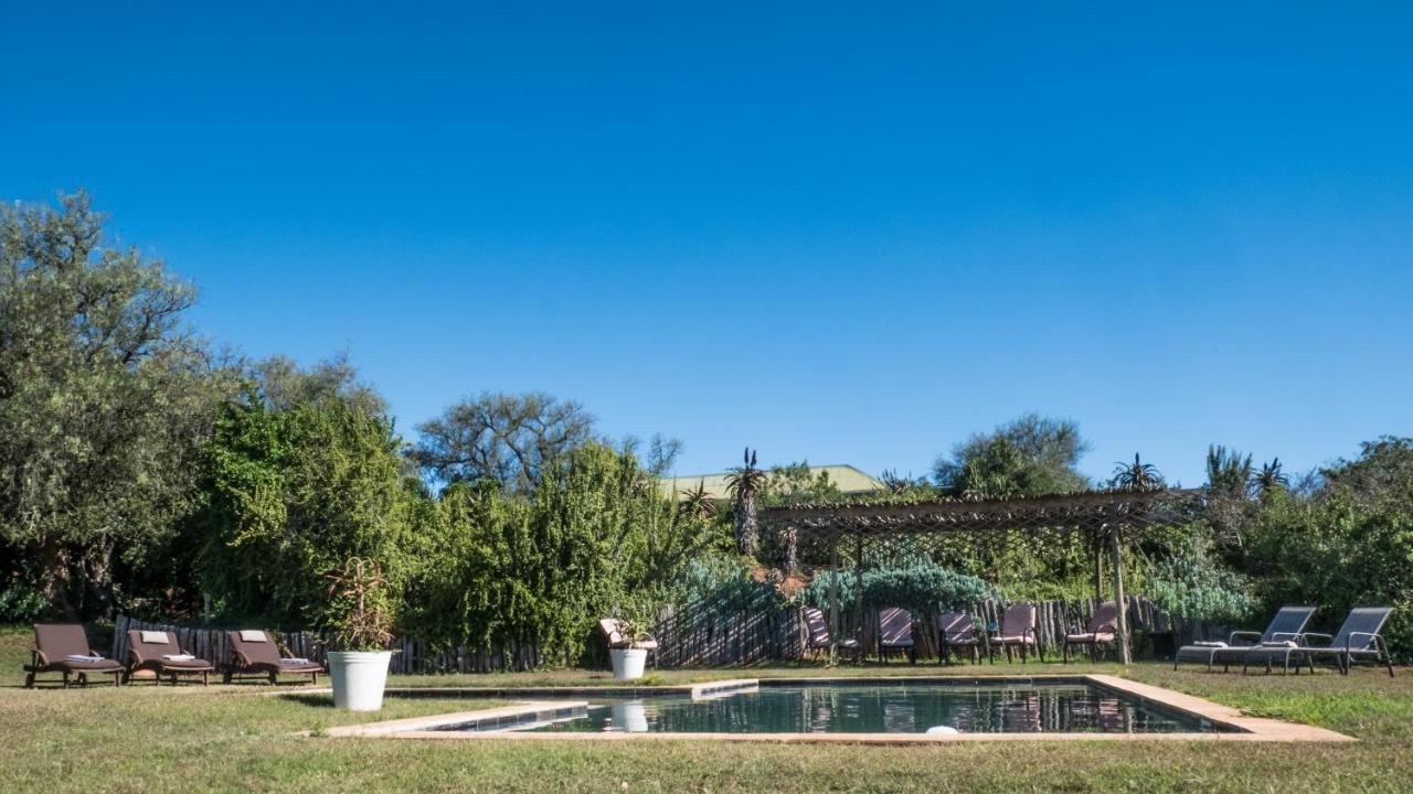 Leeuwenbosch Country House - Amakhala Game Reserve Bagian luar foto